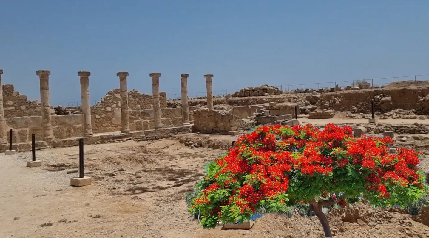 Ancient columns at Paphos Archaeological Park, Cyprus