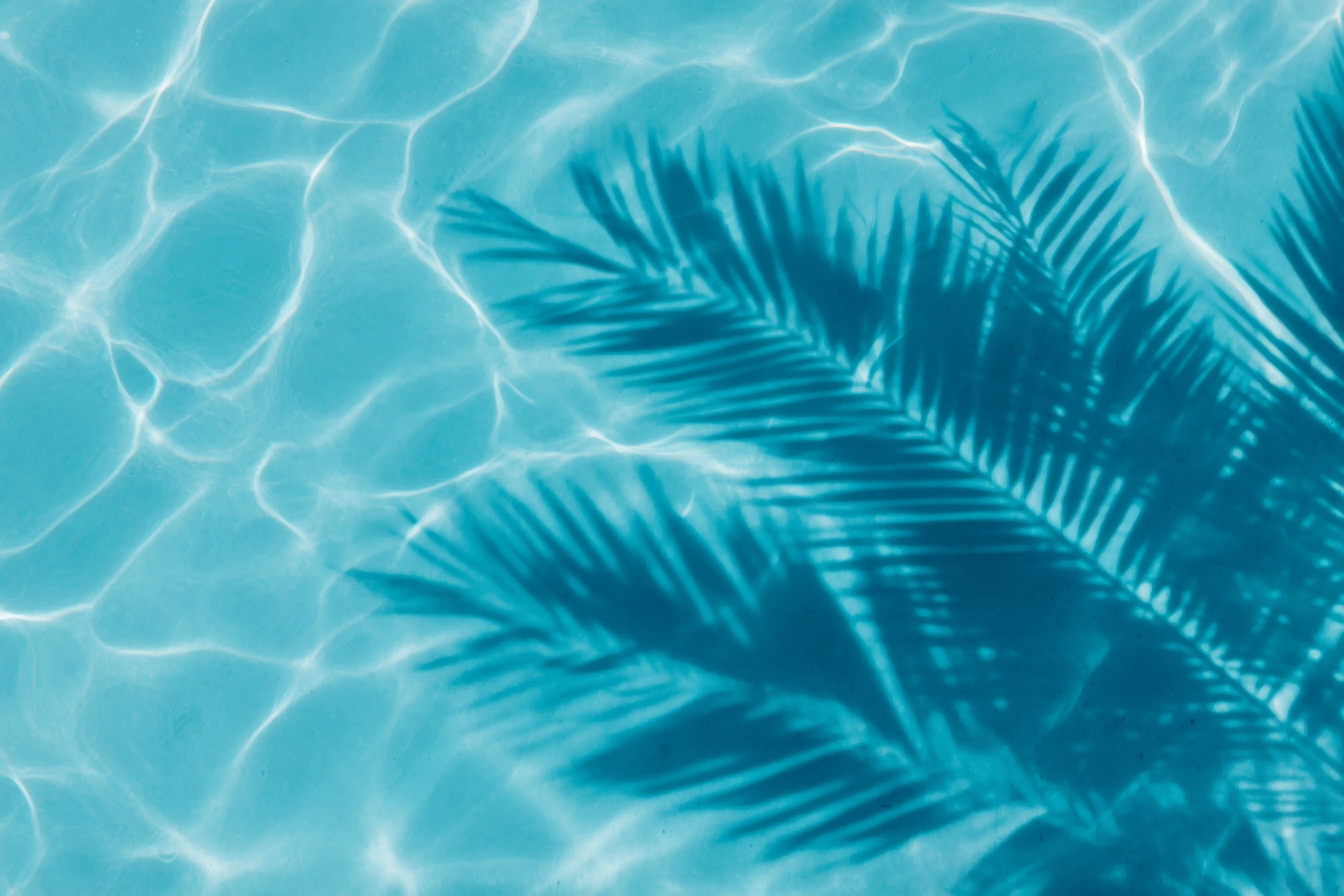 Tropical water reflections and palm shadows creating a calming wellness atmosphere at Glow Colonics