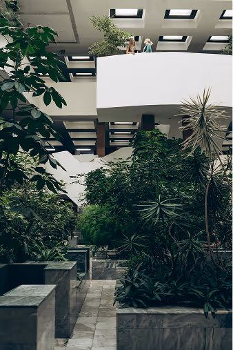 Patio végétalisé avec verrière et plantes tropicales de l'hôtel Ysotop à Grenoble.