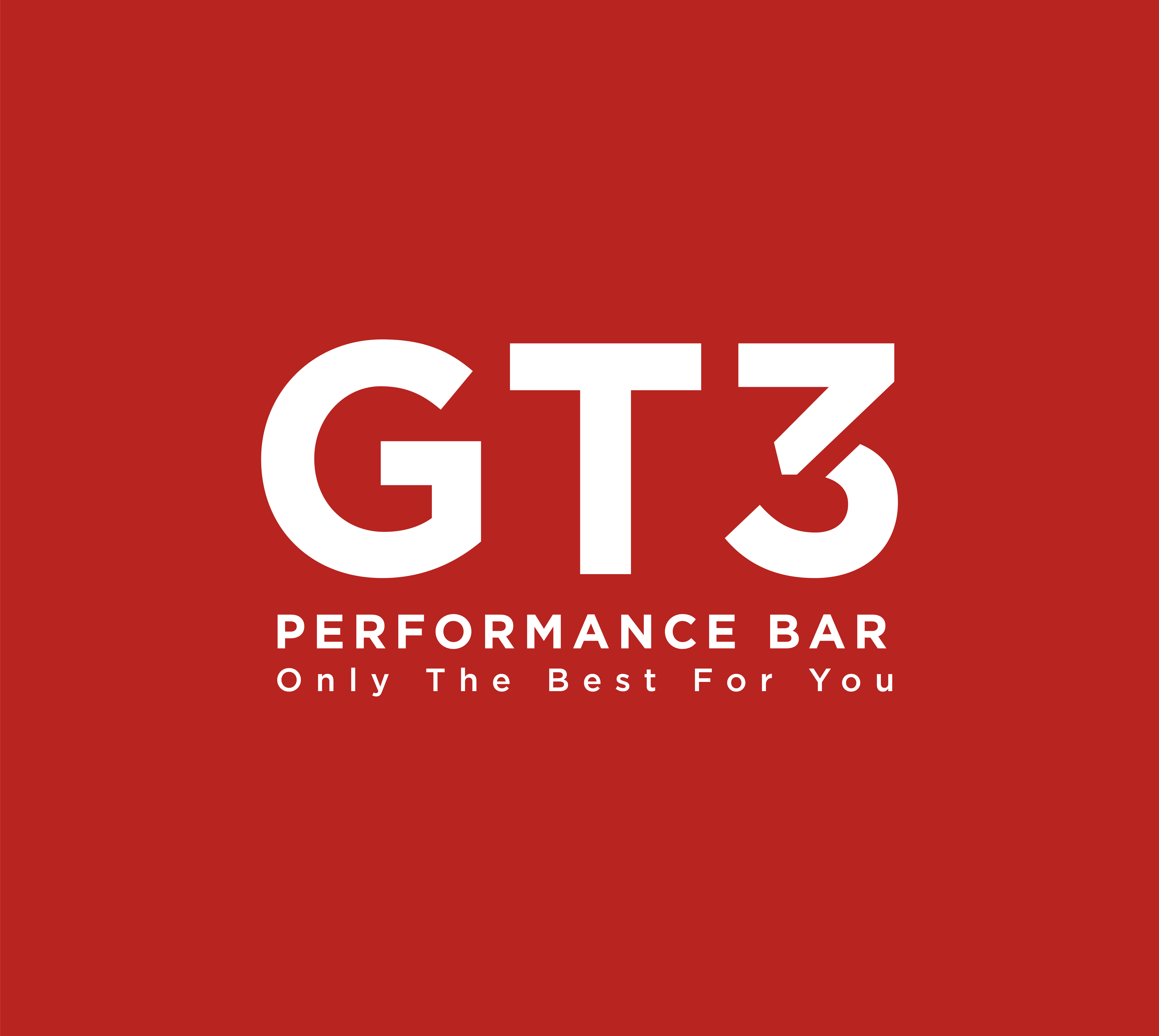 gt3-logo