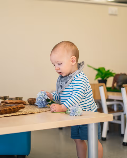 A toddler exploring at a low table at Willows