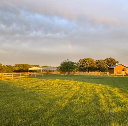 Green grassy field with horses grazing near trees under a pastel-colored sky at sunset.