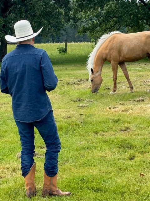 A person wearing a white cowboy hat, blue denim shirt, jeans, and brown boots stands on grass, looking at a light brown horse with a white mane grazing nearby, with trees and a fence in the background.