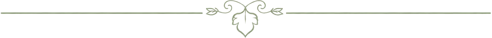 Horizontal decorative divider with a central stylized leaf and two small leaves on swirling stems extending symmetrically to thin horizontal lines on each side.