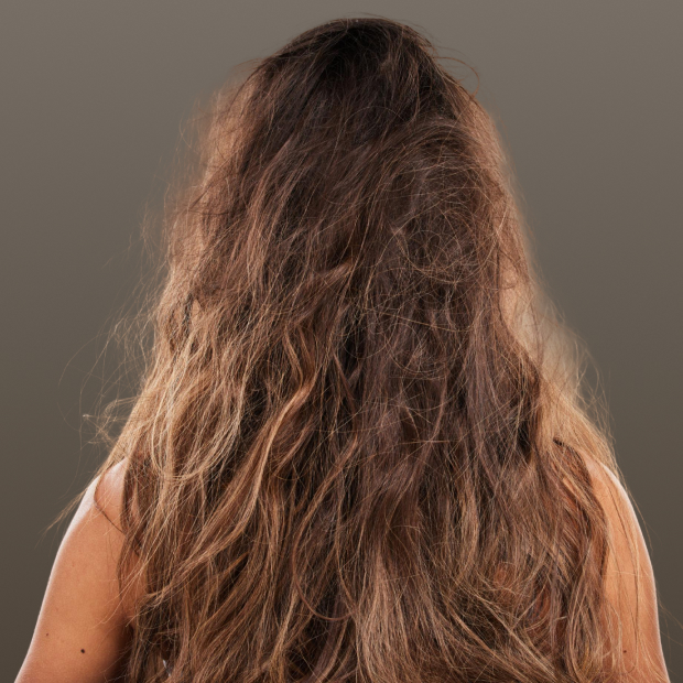 Back view of a person with long, tangled, and messy brown hair against a plain gray background.