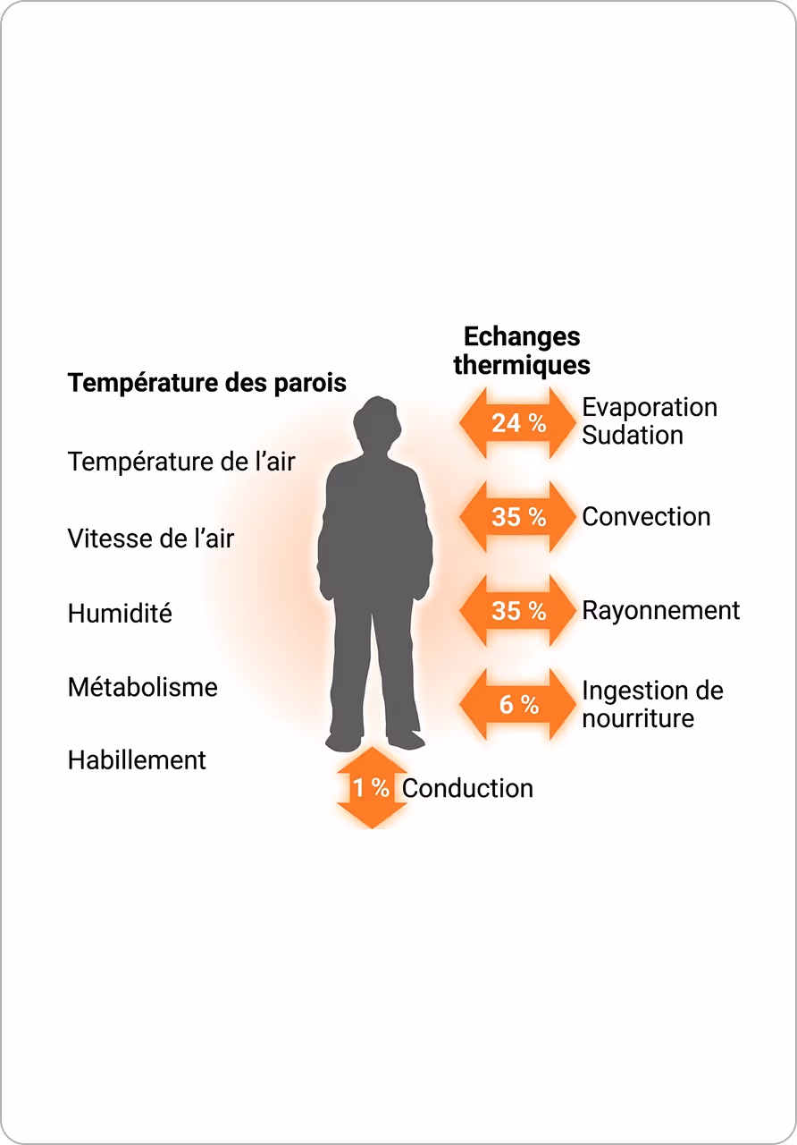 Schéma des rapports entre température des parois et échanges thermiques.