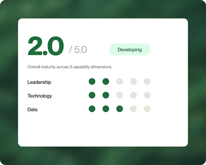 AI Maturity Assessment