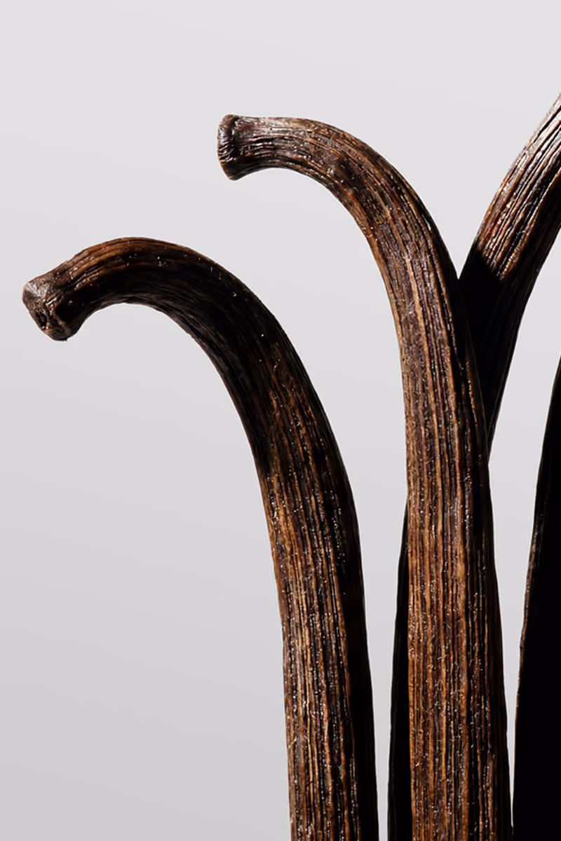 Close-up of three dark brown vanilla pods with textured surfaces on a light grey background.