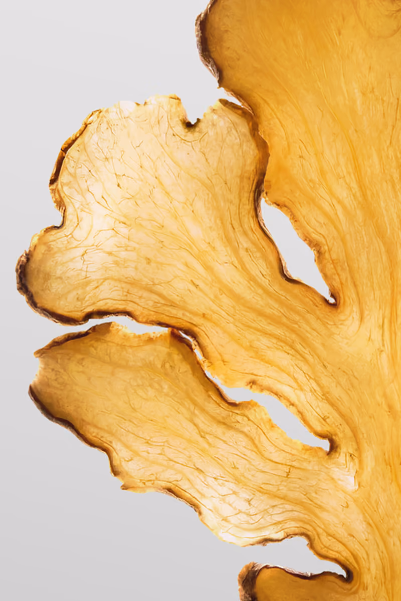 Close-up of thin, translucent slices of dried ginger with detailed texture and edges.