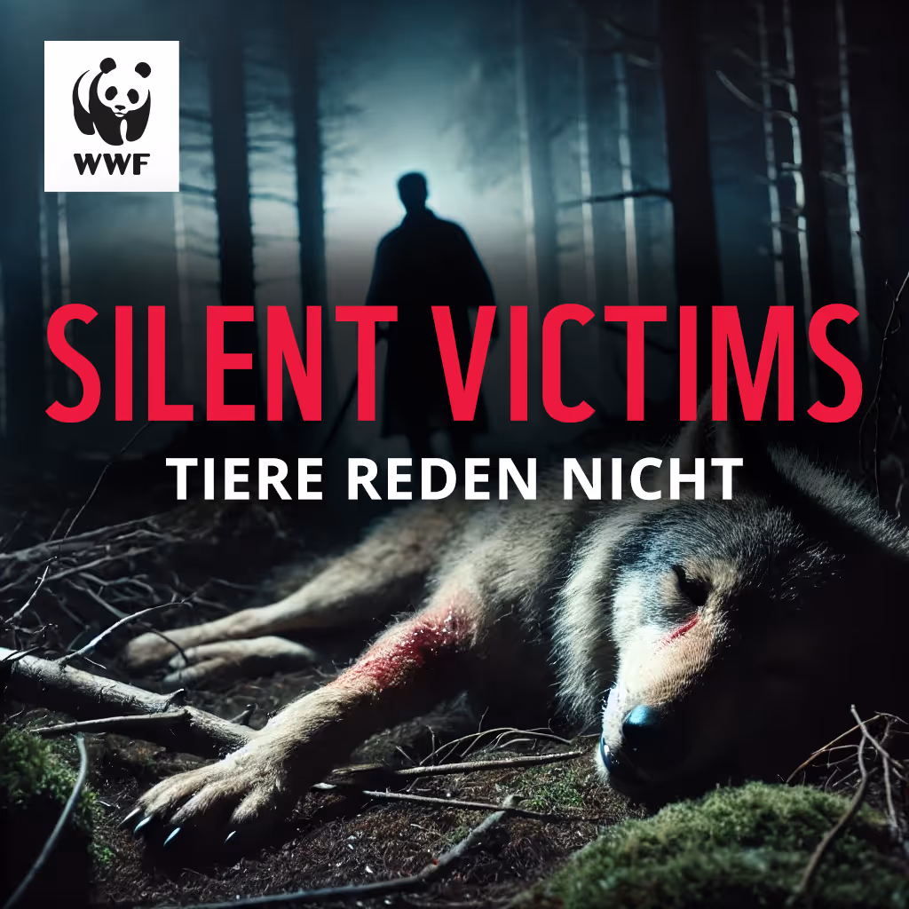 Verwundeter Wolf liegt im Wald bei Nacht mit einer dunklen Silhouette im Hintergrund.