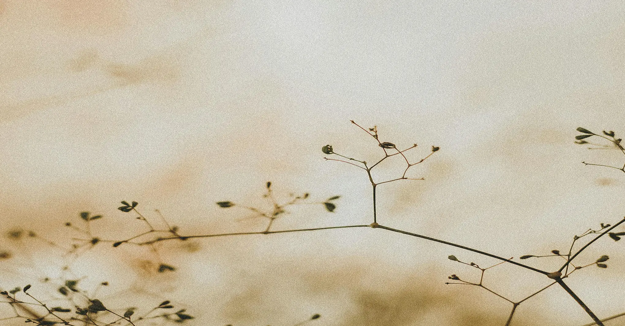 Single Work Image