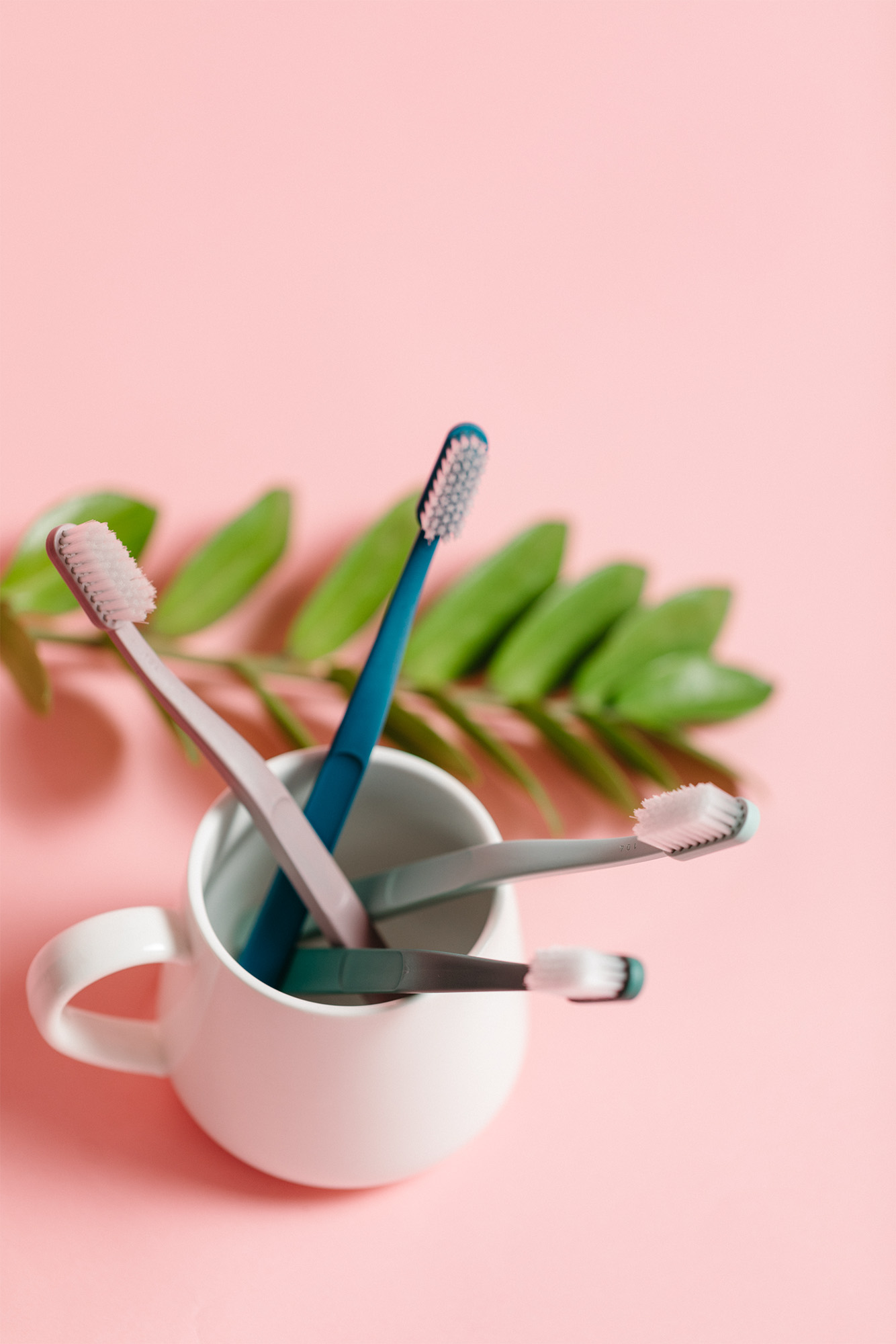Four toothbrushes in a white cup with a green leaf on a pink background.