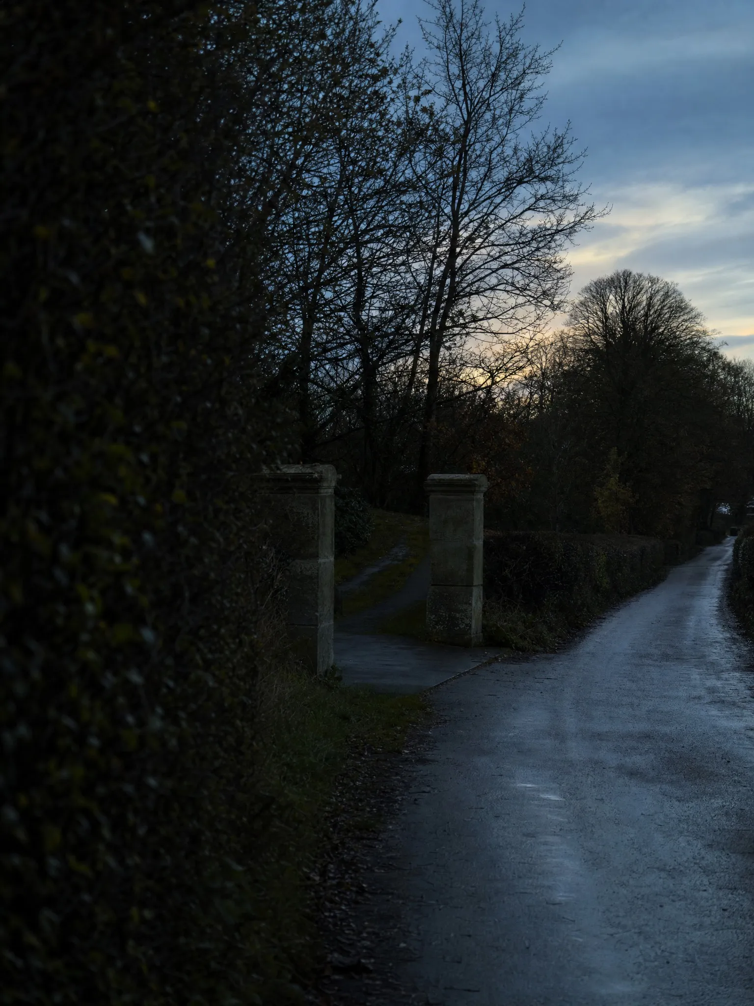 A wet private lane running between trees and old gateposts at dusk