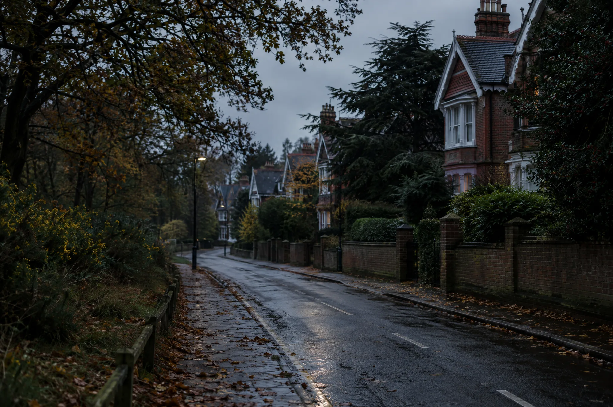 A wooded Chislehurst road of walled Victorian villas beside the common on a wet evening