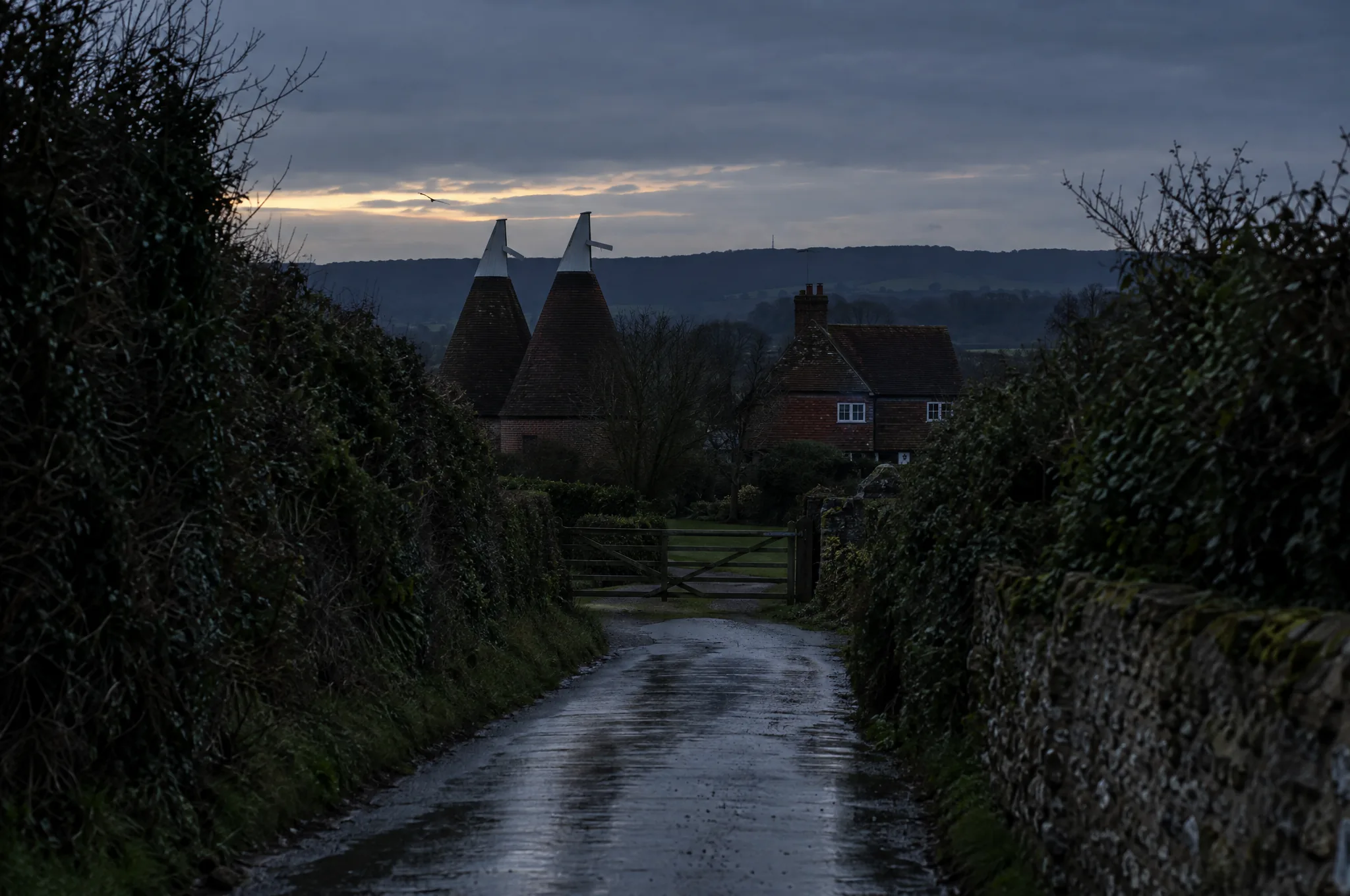 A hedged lane through the Kent Weald at dusk with oast houses beyond