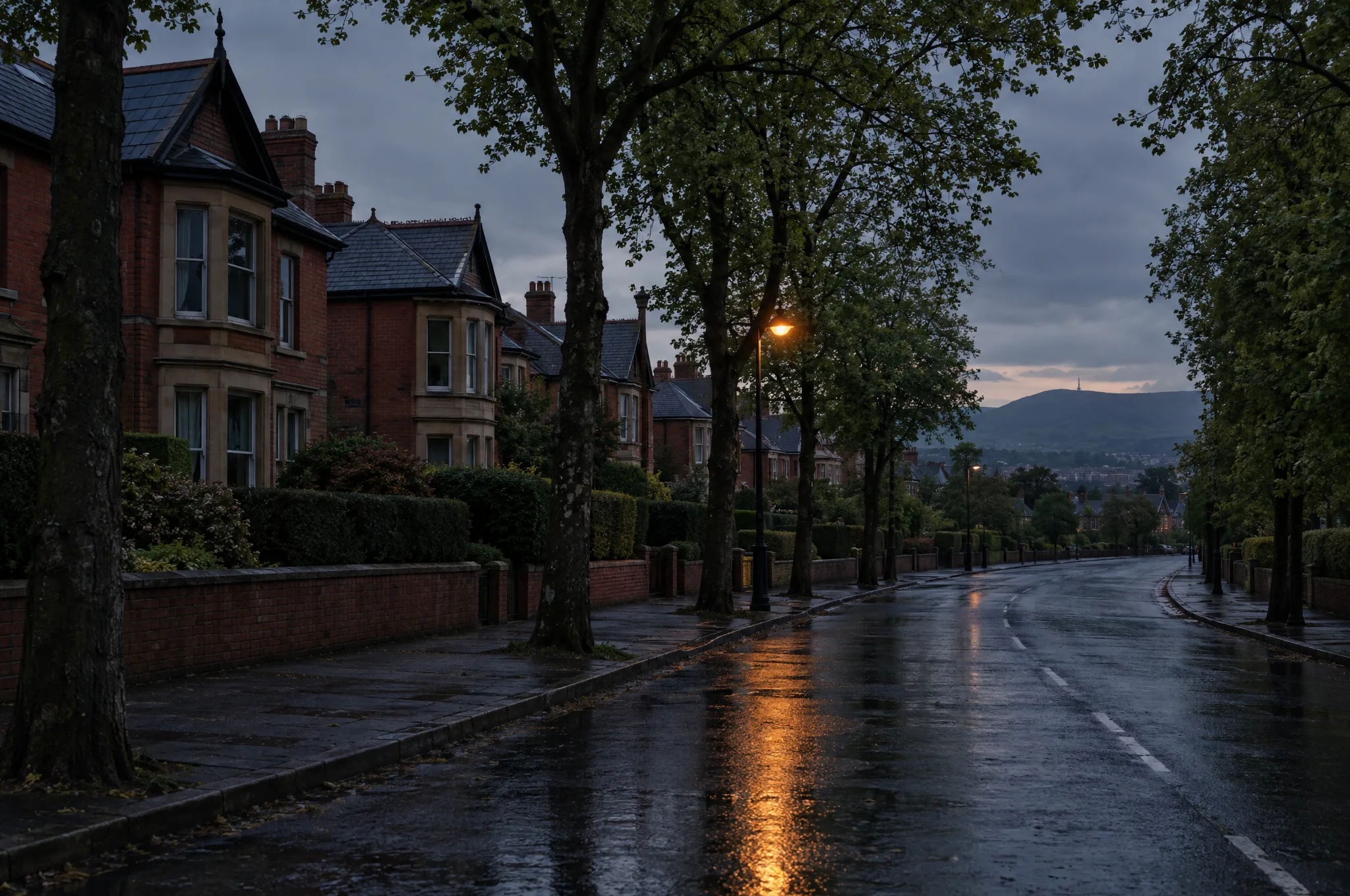 Large red brick Victorian houses behind mature trees on a wet Belfast avenue at dusk