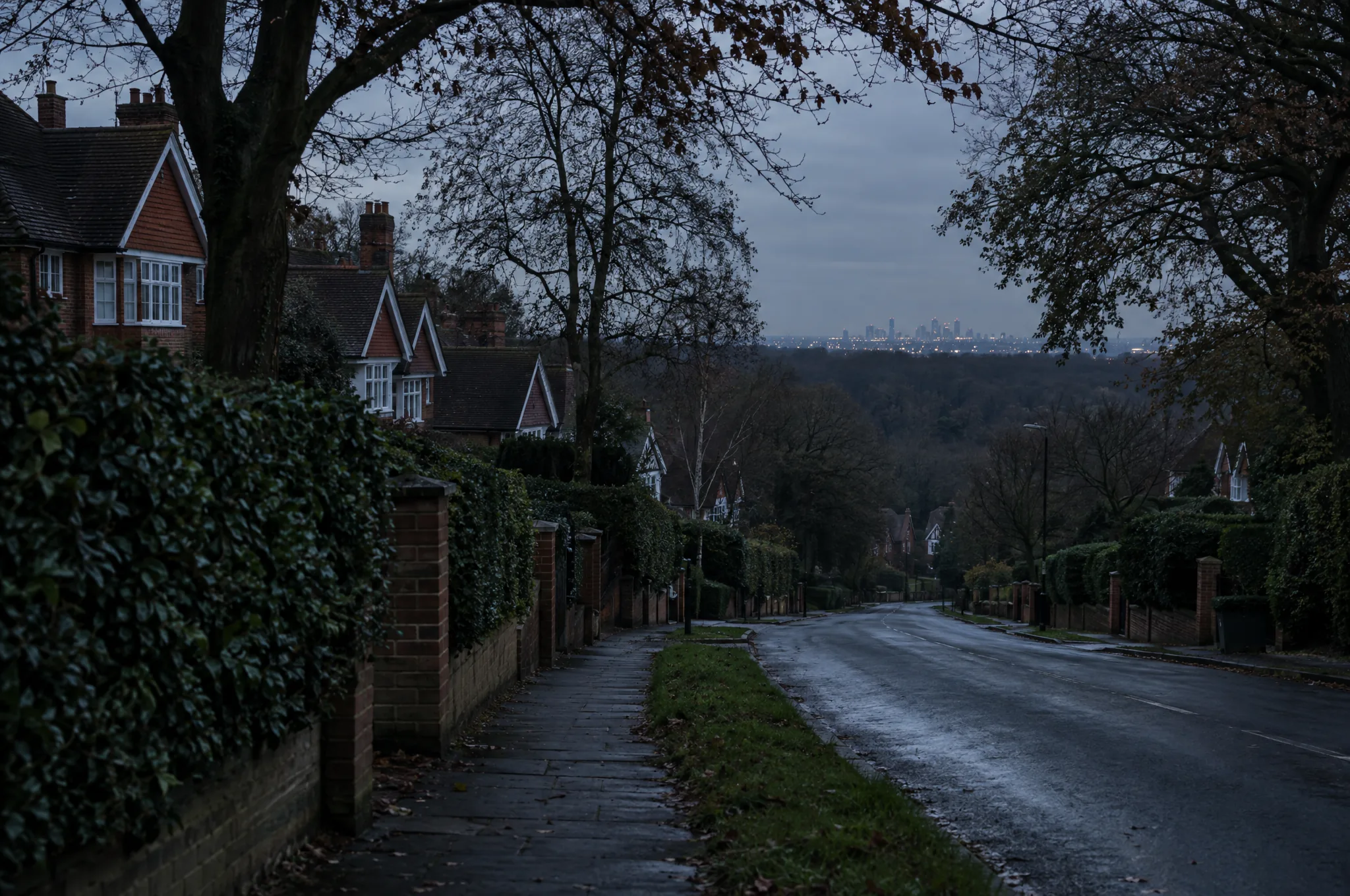 A wooded hill road in Loughton at dusk with the forest behind
