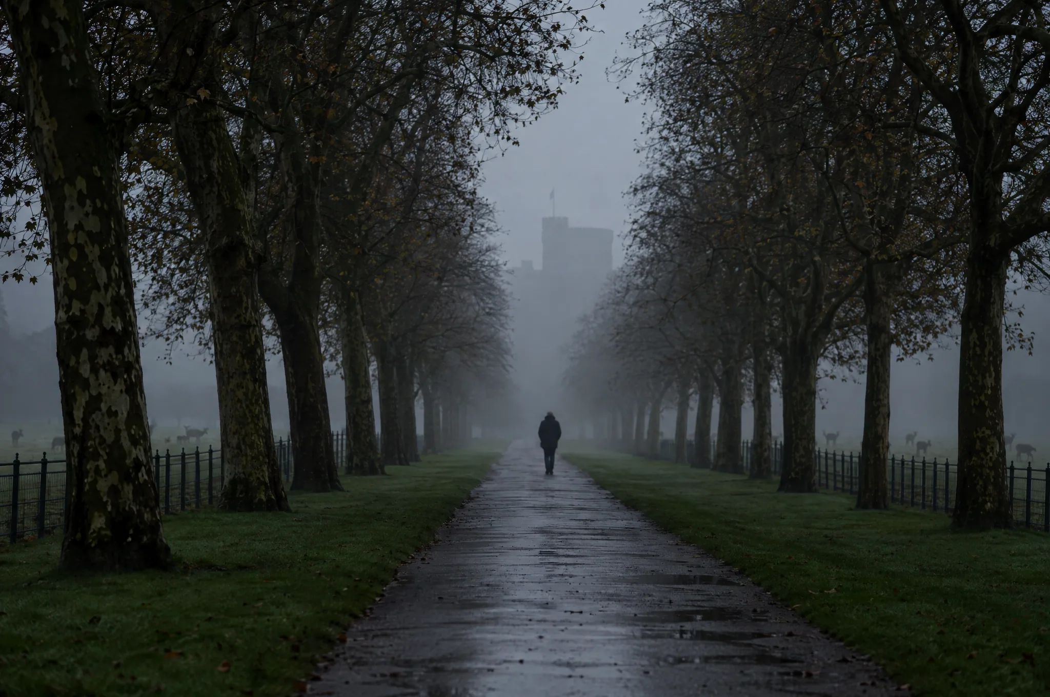 The Long Walk at Windsor in early morning mist, avenue trees fading into grey