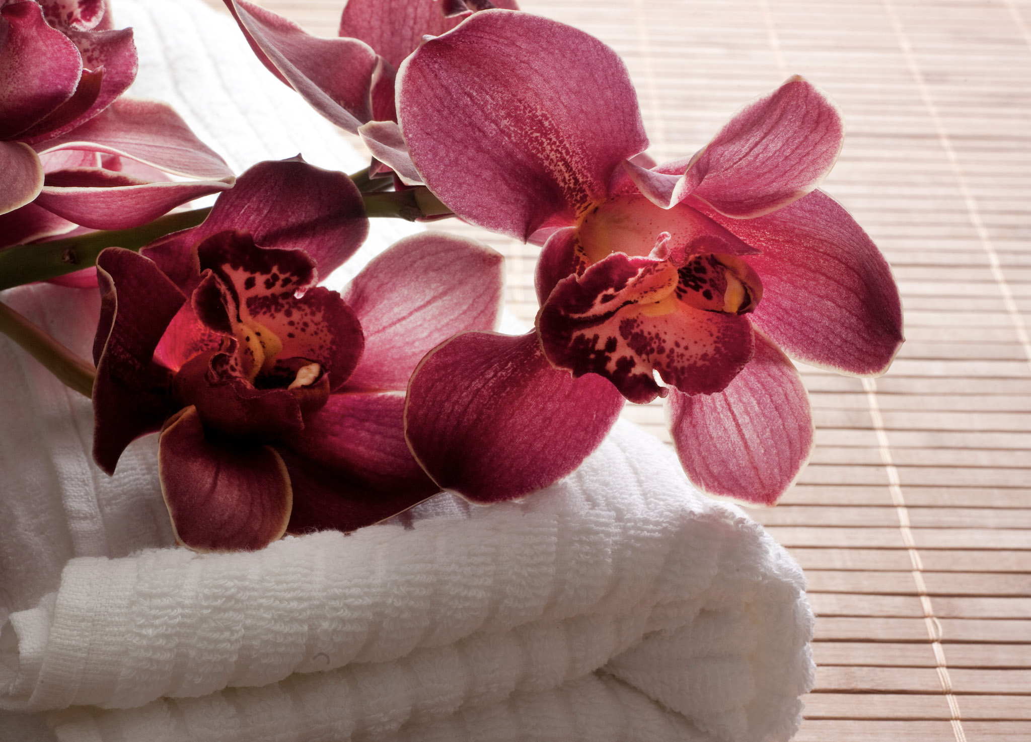 Aroma Derm Behandlung zur Unterstützung von Hautpflege und Regeneration bei MyMedBeauty in Traisen.