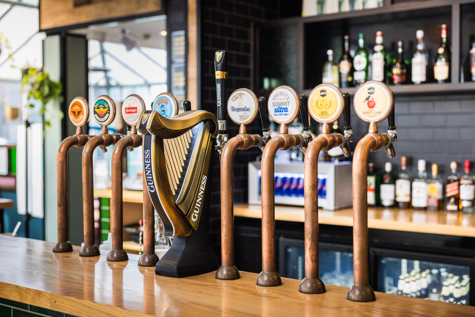Bar counter with eight beer taps, including a large Guinness harp tap handle and various liquor bottles behind.