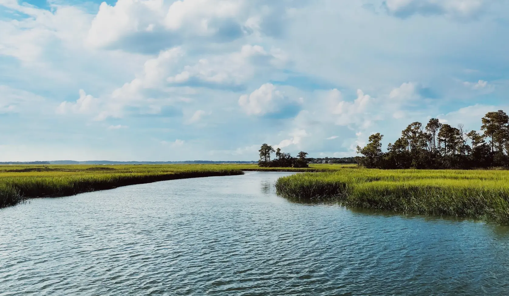 A tidal creek winding through Lowcountry salt marsh, with green spartina grass and a line of pines on the horizon.