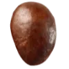 Back view of coffee bean
