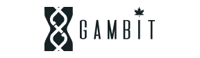 Logo with two interlocking shapes next to the word GAMBIT and a small star.