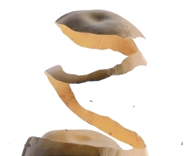 Pomme de terre épluchée