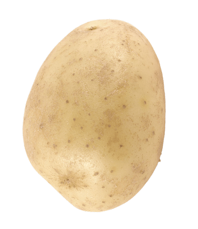 Etape 1 : pomme de terre