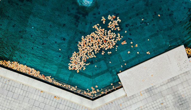 Top-down view of autumn leaves floating on a corner pool of clear blue water beside tiled pavement.