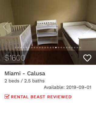 rent in calusa