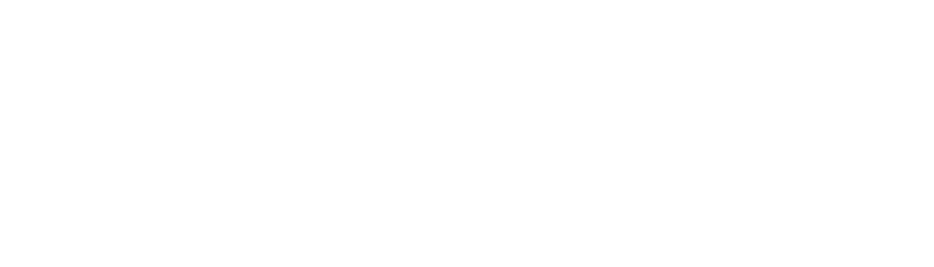 Black Kite