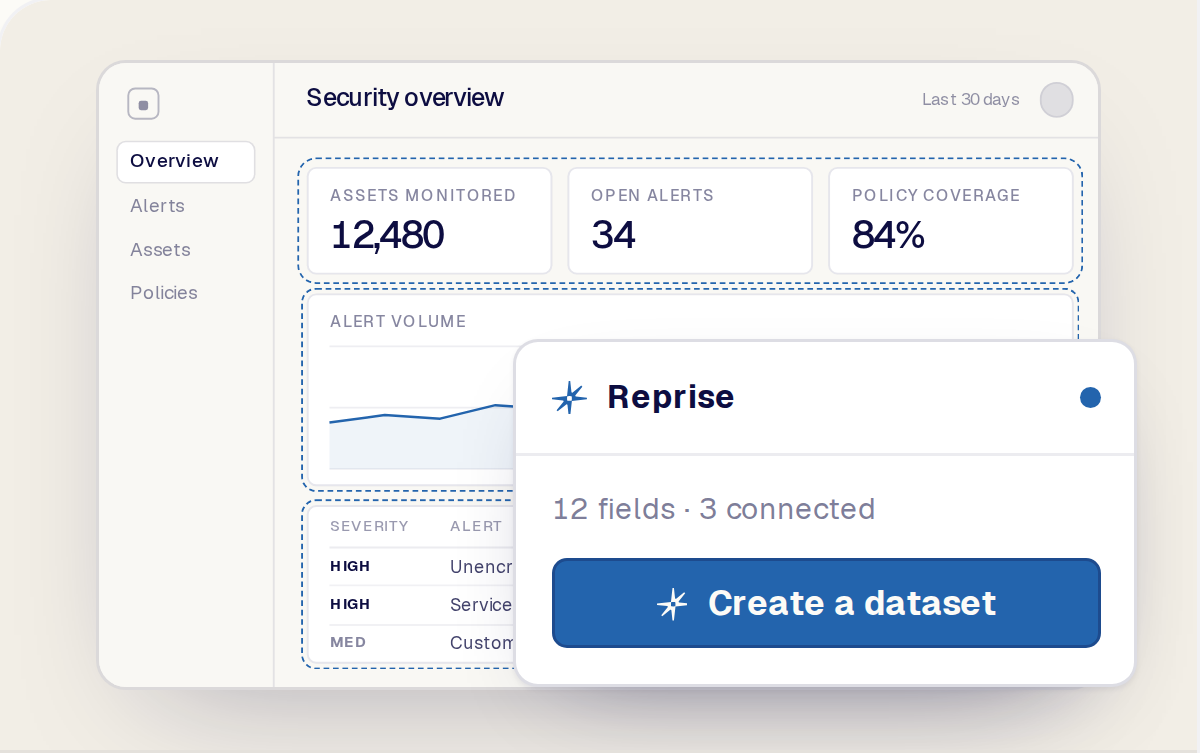 The application with its numbers, chart and records outlined as fields Reprise can change, and the Reprise extension offering to create a dataset