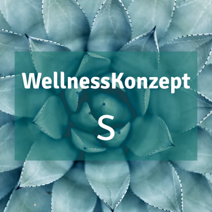 WellnessKonzept S