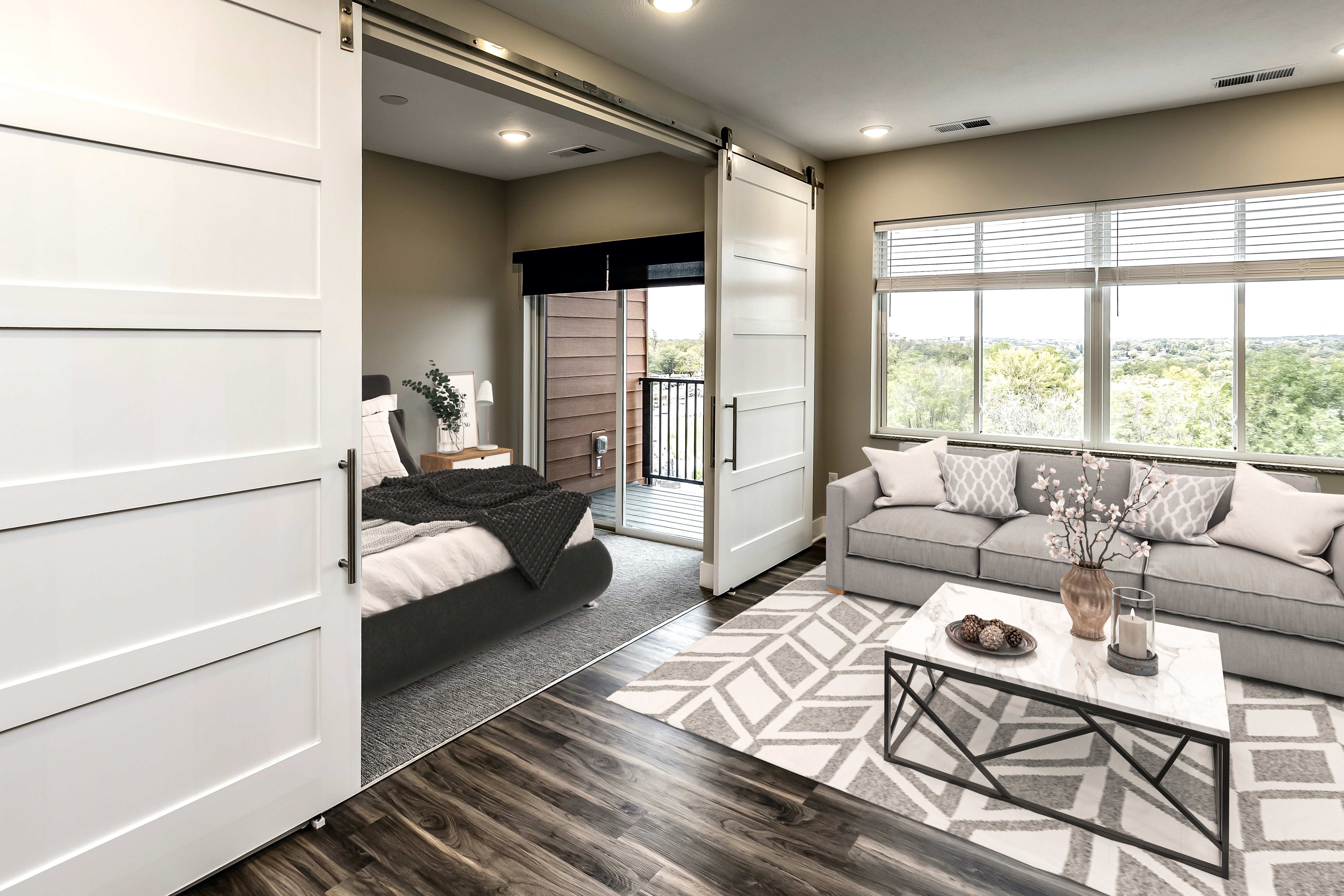 Bedroom and living room