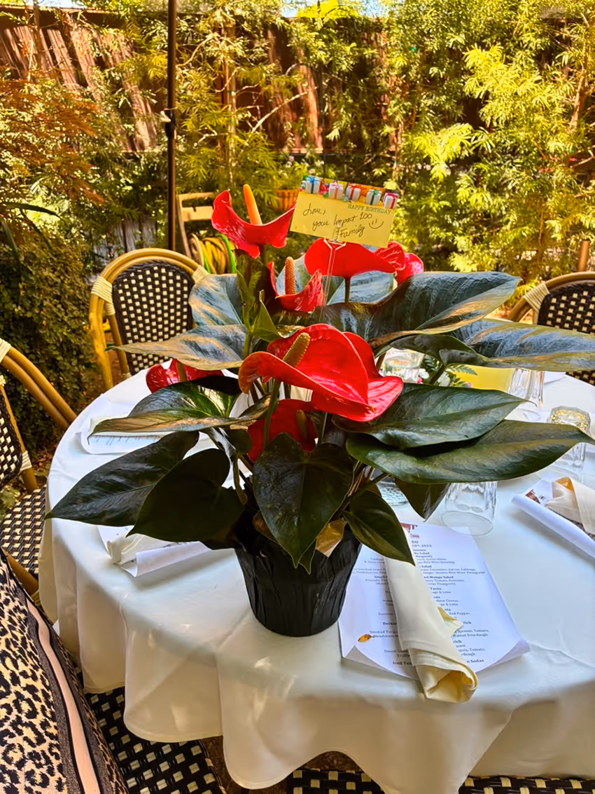 Red anthurium flowers in black pot on round table with white cloth and outdoor chairs around it.