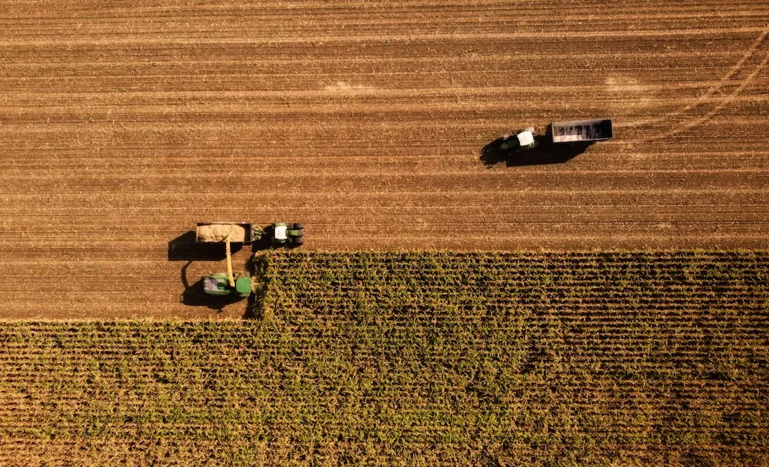 Agriculture
