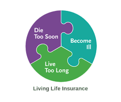 Three-piece puzzle with segments: Die Too Soon, Become Ill, Live Too Long.
