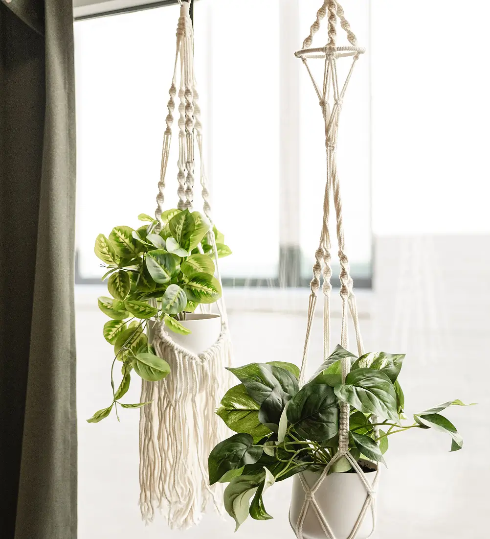 Calming play therapy room with macrame hanging plants and natural light at our Berkley Michigan clinic