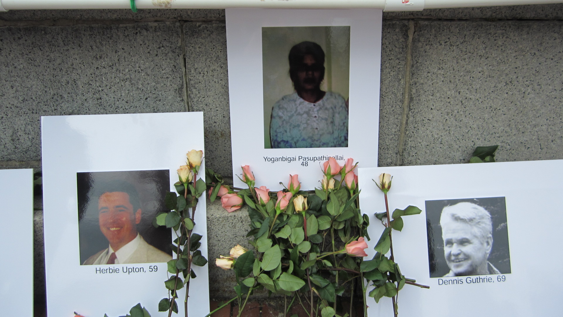 Memorial roses with photos