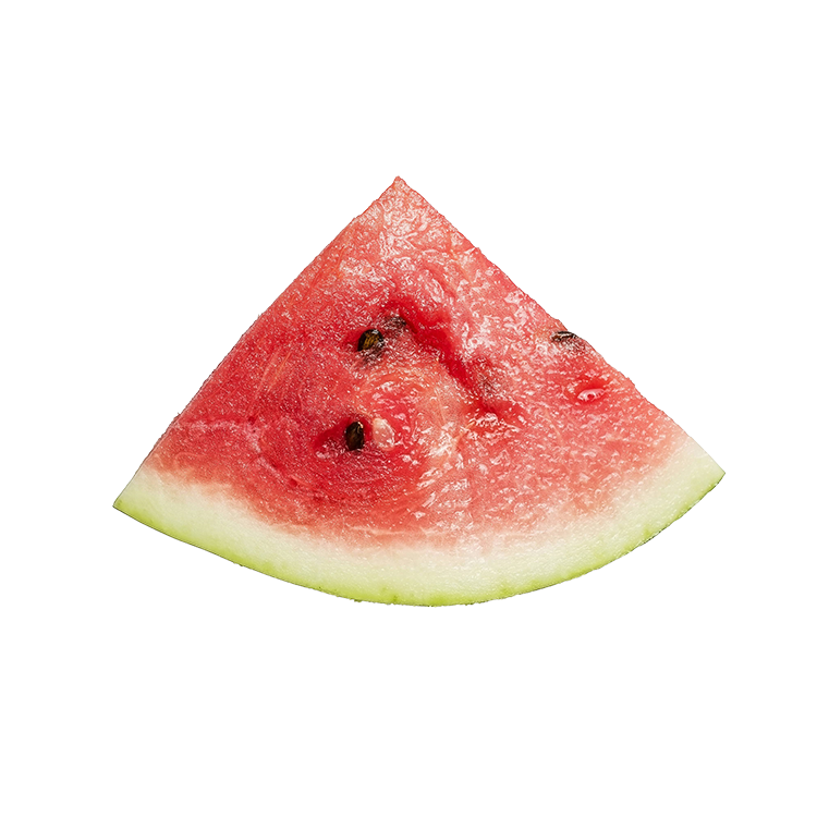 Fresh watermelon slice