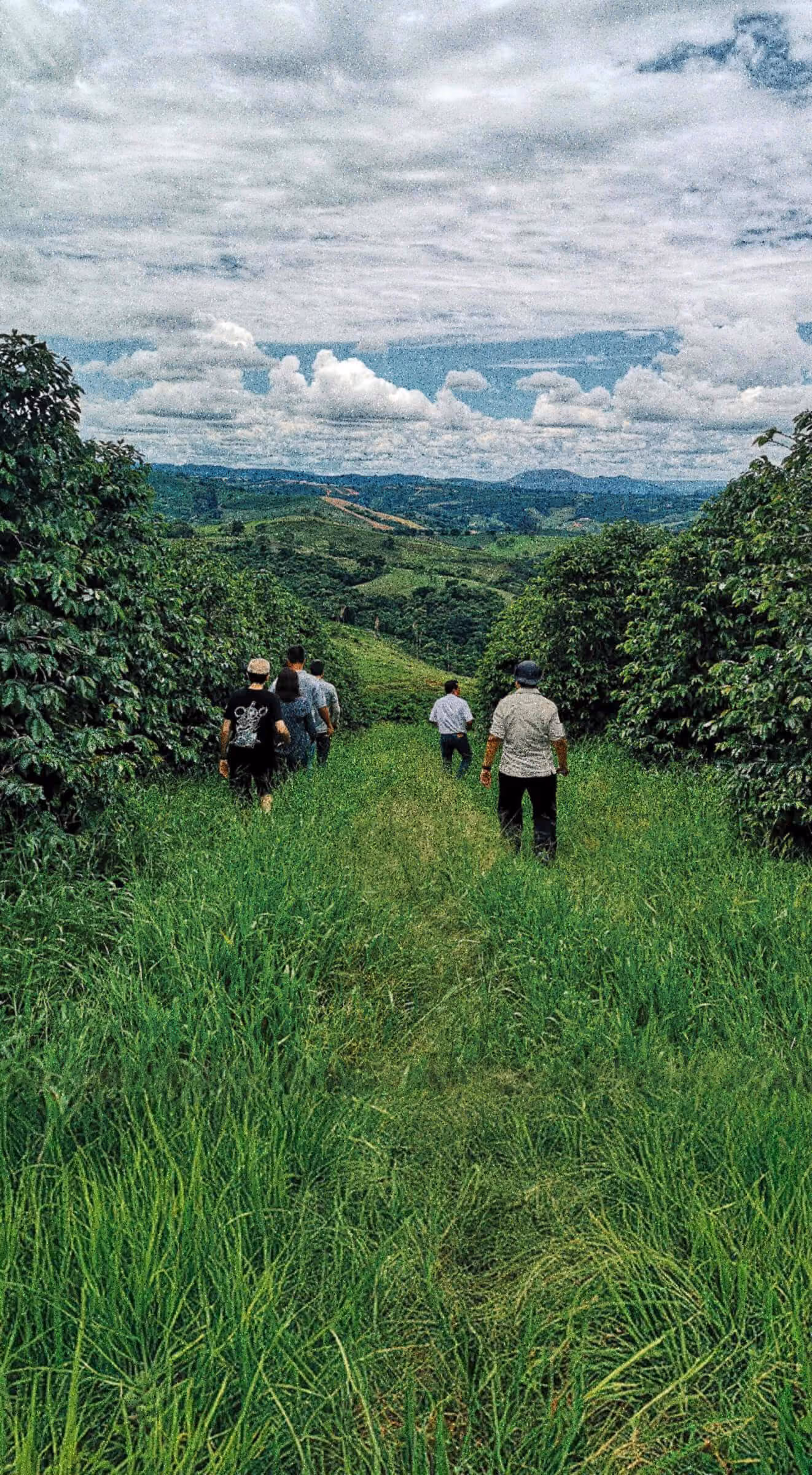 Five people walking down a grassy path between green bushes under a cloudy sky in a hilly landscape.