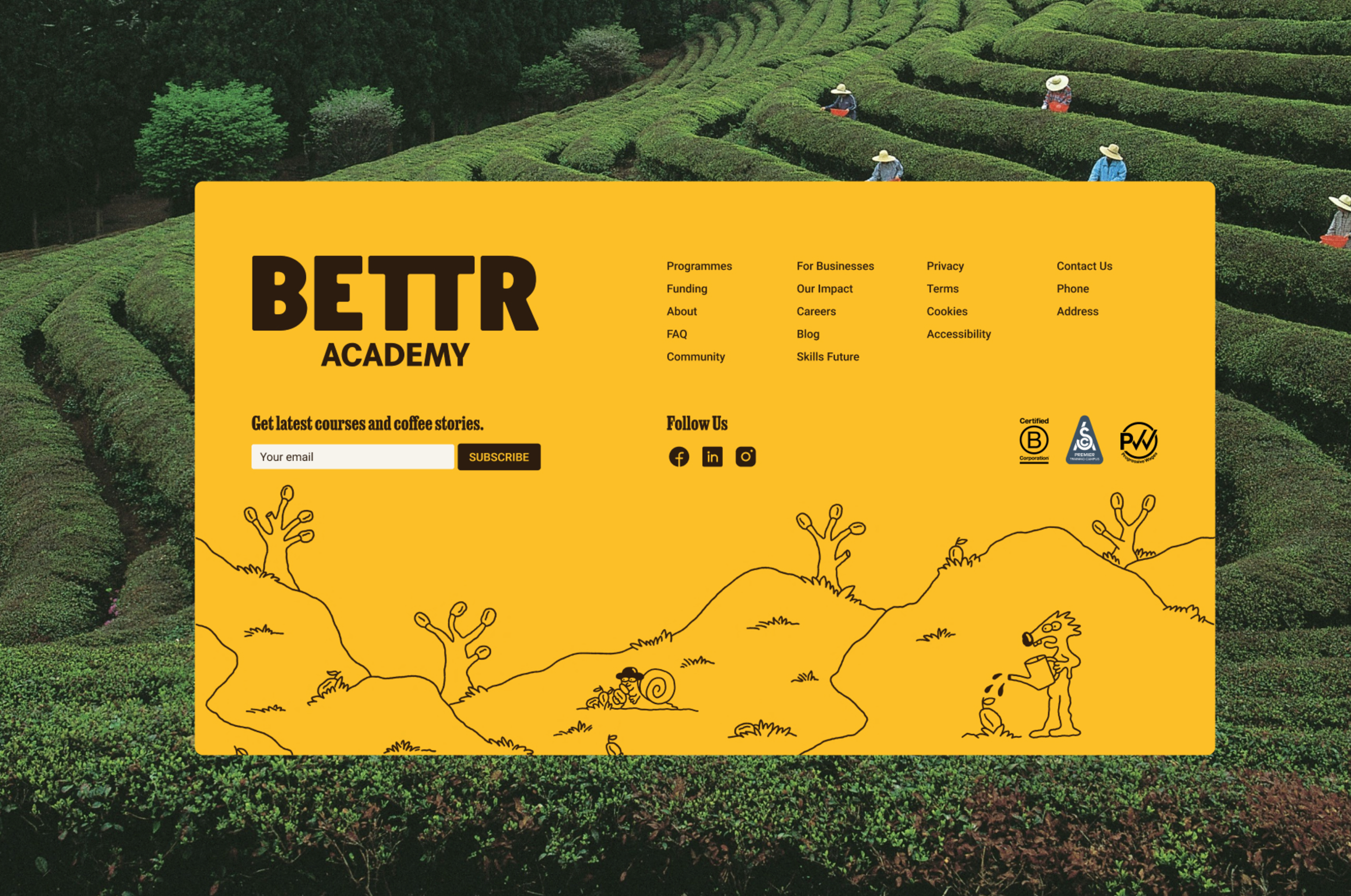 site profile thumbnail