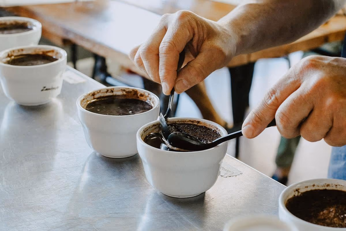 Hands holding spoons, tasting multiple cups of black coffee on a metal table.