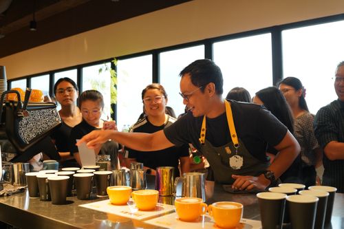 Hands holding spoons, tasting multiple cups of black coffee on a metal table.