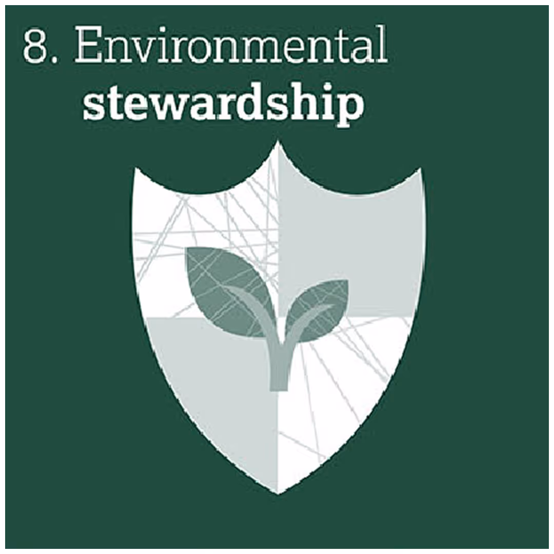 Shield with two leaves and text reading '8. Environmental stewardship' on a dark green background.