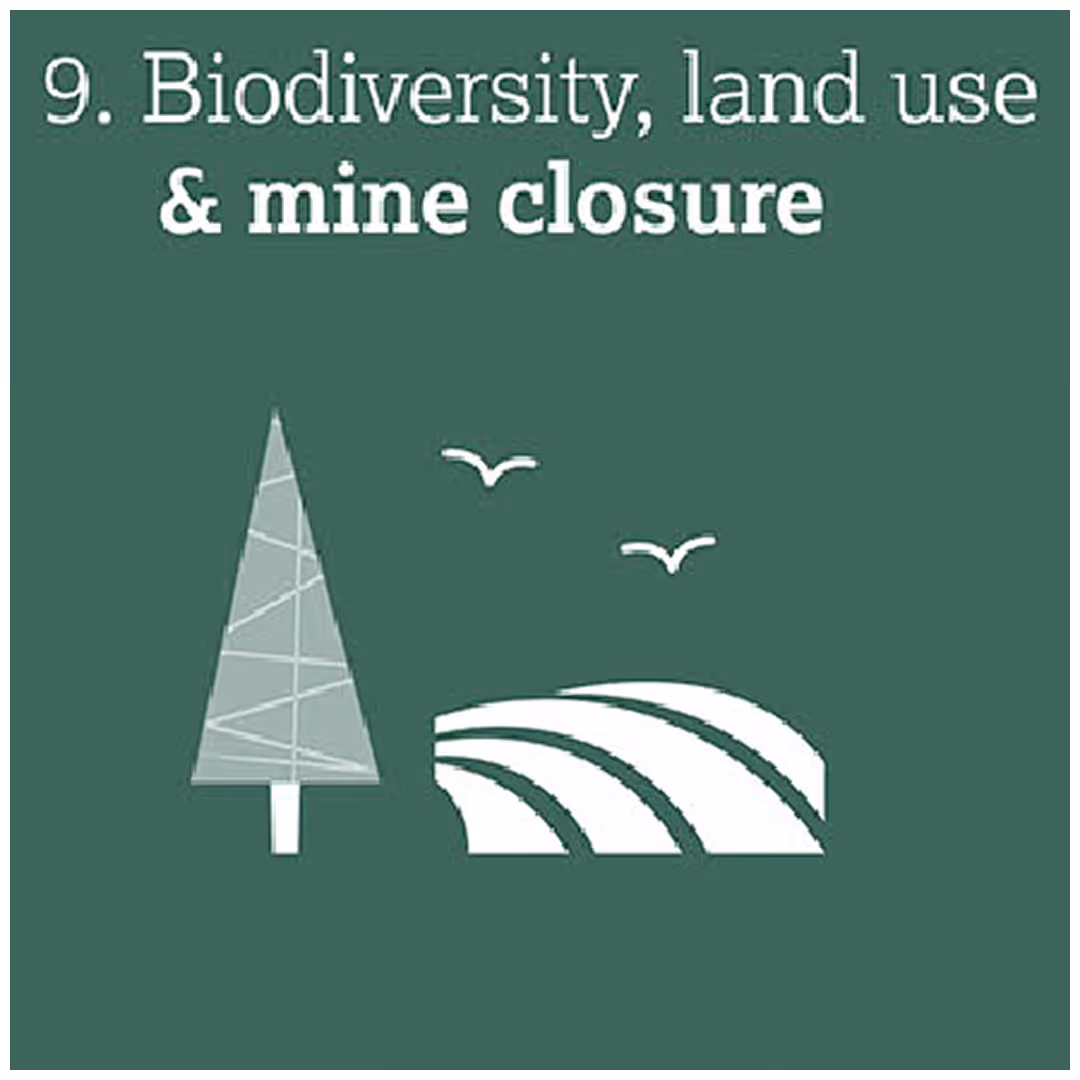 Graphic with text 'Biodiversity, land use & mine closure' with tree, field, and birds icons.
