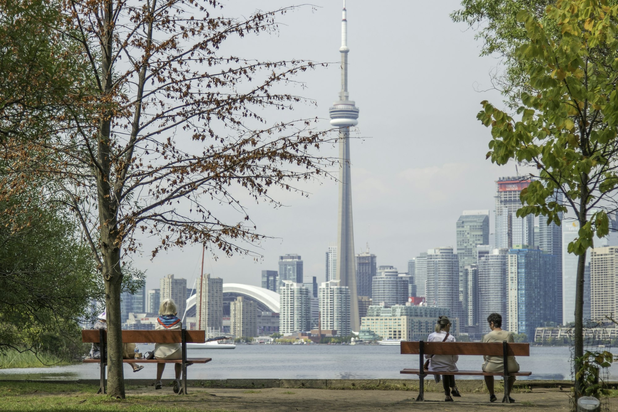 Toronto Airport Car Service: Premium Chauffeur at YYZ, YTZ
