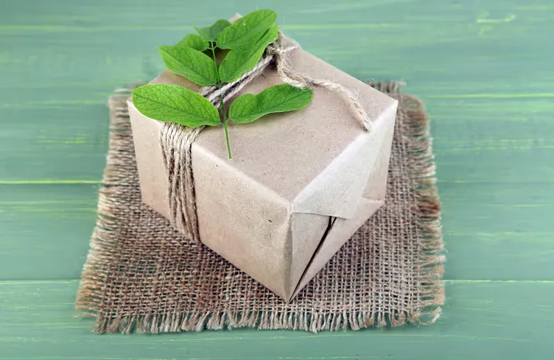 Are your materials eco-friendly?