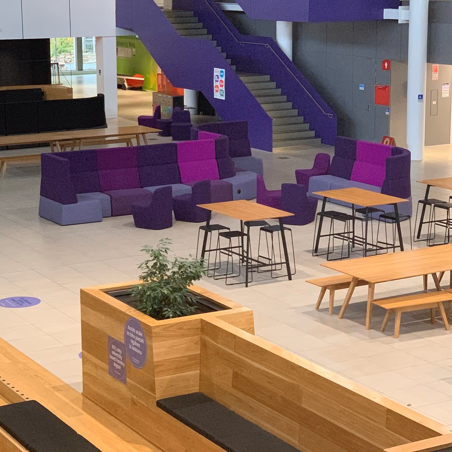 The Use of Colour at Canterbury University